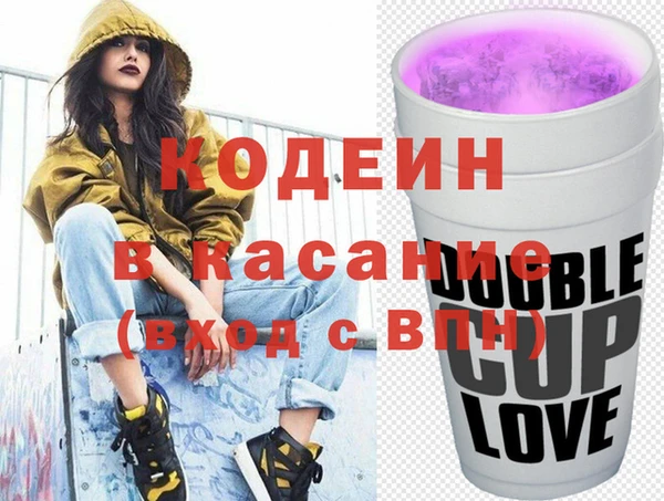 прущие грибы Ельня