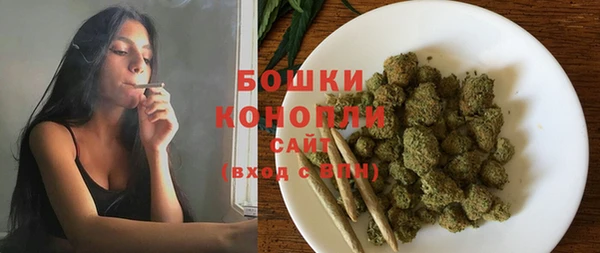 прущие грибы Ельня