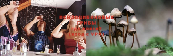 МДПВ Елабуга