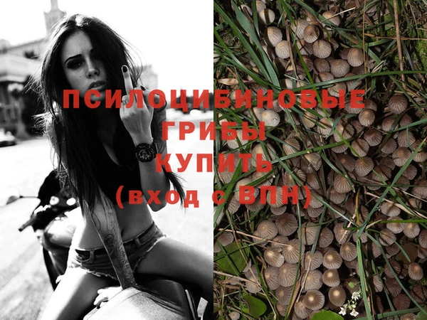 МДПВ Елабуга