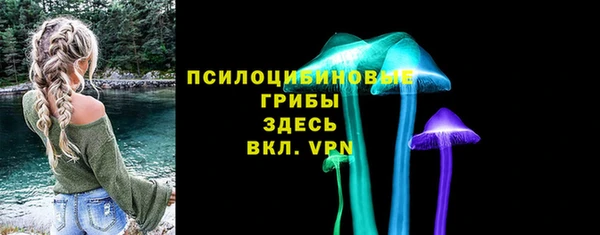 МДПВ Елабуга