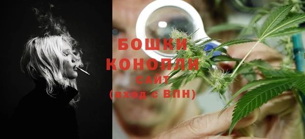 МДПВ Елабуга