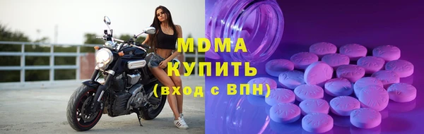 прущие грибы Ельня