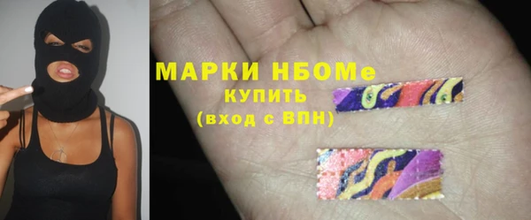 МДПВ Елабуга