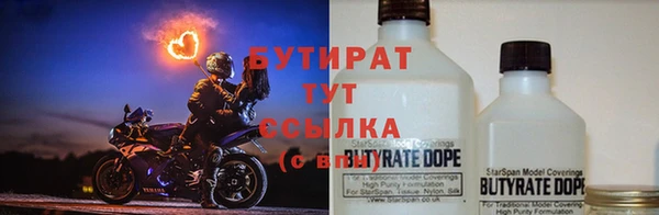 прущие грибы Ельня