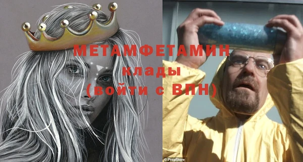 прущие грибы Ельня