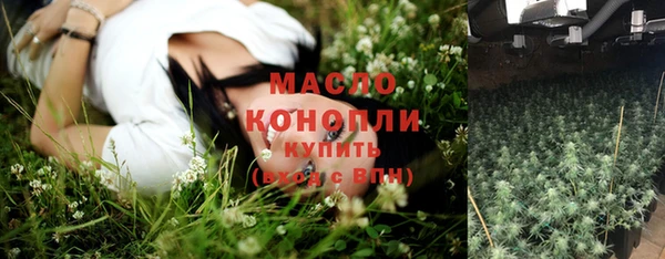 МДПВ Елабуга