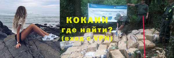 прущие грибы Ельня