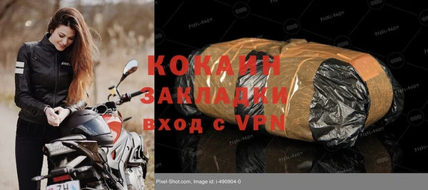 прущие грибы Ельня