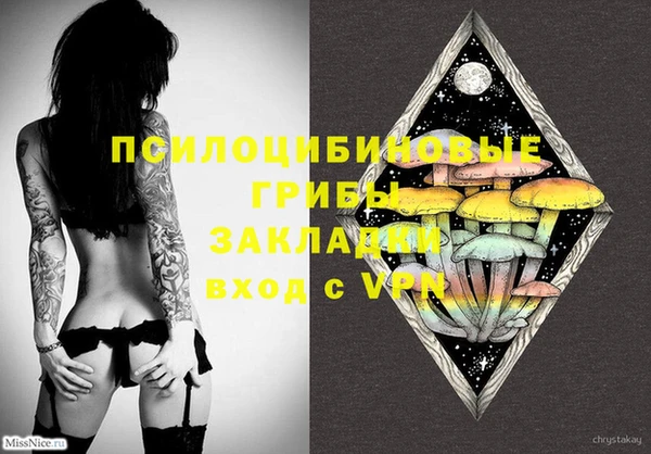 прущие грибы Ельня