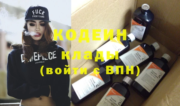 прущие грибы Ельня